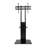 Quitman Symple Stuff Single Screen Floor Stand Mount