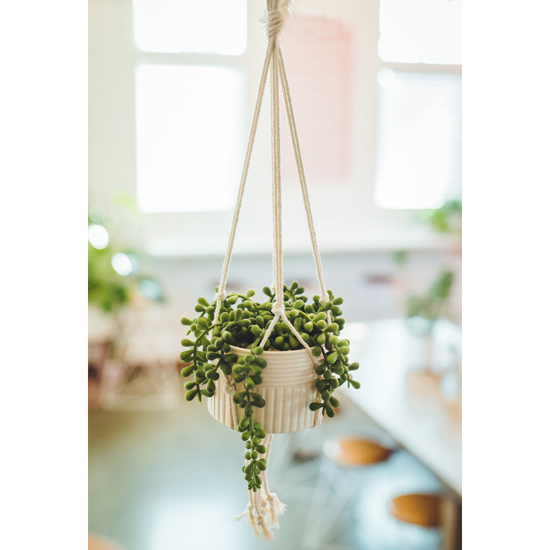 1-pièce de plante grasse artificielle en pot, H 3 po x l 4 po x P 4 po