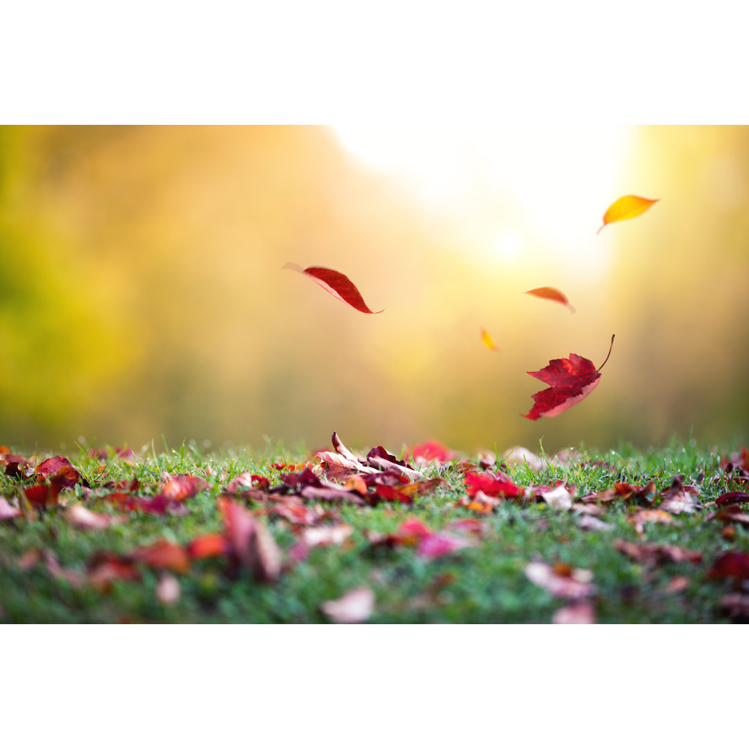 Falling Autumn Leaves von Borchee - Kunstdrucke auf Leinwand ohne Rahmen