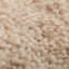 Eloi Wool Hand Knotted Area Rug-1471770760-1471770759