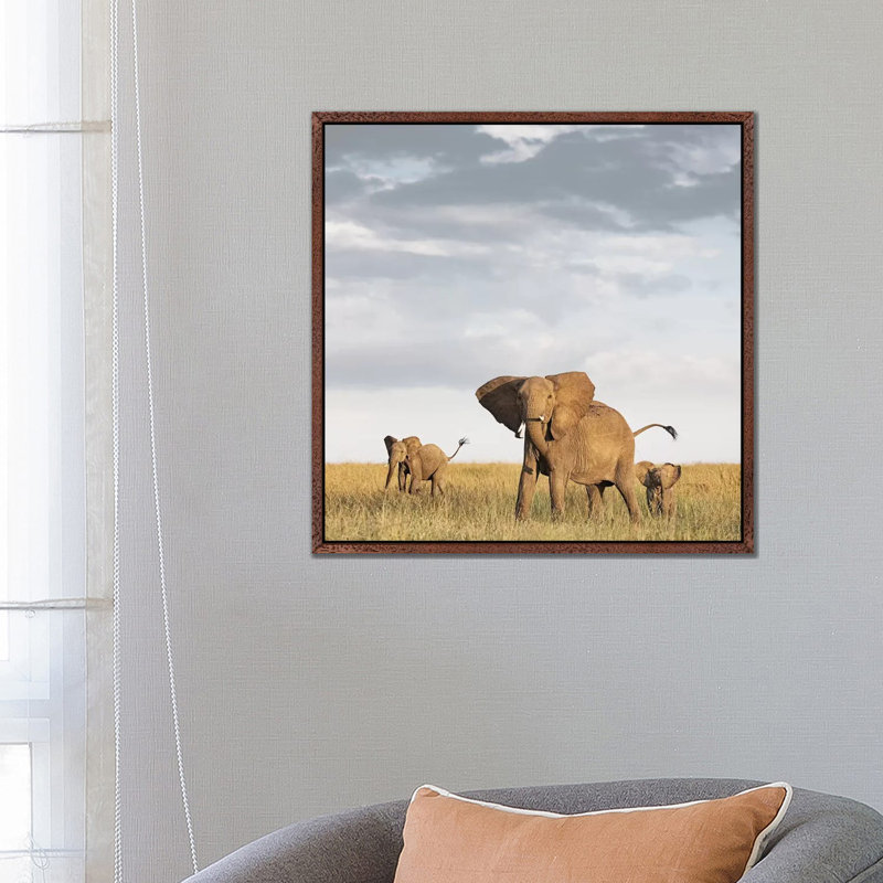 Colour Elephant & Calves by Klaus Tiedge - Print on Canvas, 66.04 cm H x 66.04 cm W, Classic Brown Wood Framed