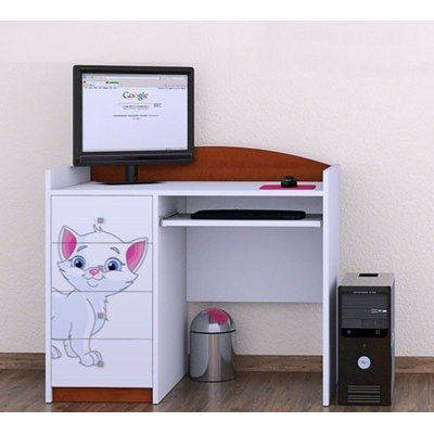 Dex 100cm Computer Desk