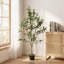 120cm Plant