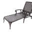 Chaise longue en aluminium coulé brun 1Pcs
