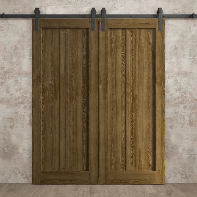 Porte de grange double moderne | Ego 5006 | Ensemble de rails | Portes intérieures solides