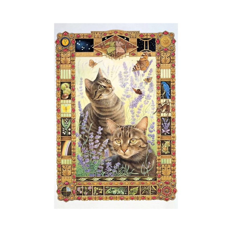 Gemini - Christie And Zelly Cats Animals by Ivory Cats - Wrapped Canvas Print, 20.32 cm H x 30.48 cm W