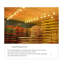 Paravent de chambre pliable Mid-Century-753822850-753822909-753822910