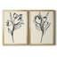Floral Marker I - Ensemble de 2 reproductions d'art sur toile encadrées-522580247-522580241