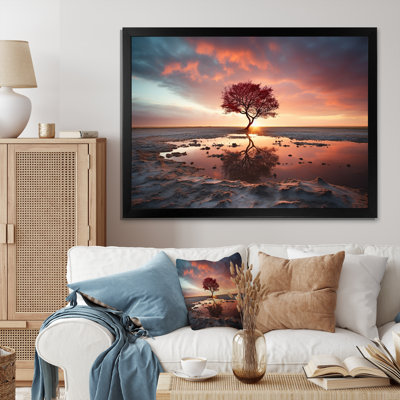 " Silhouetted Desert Sunset Solitude "