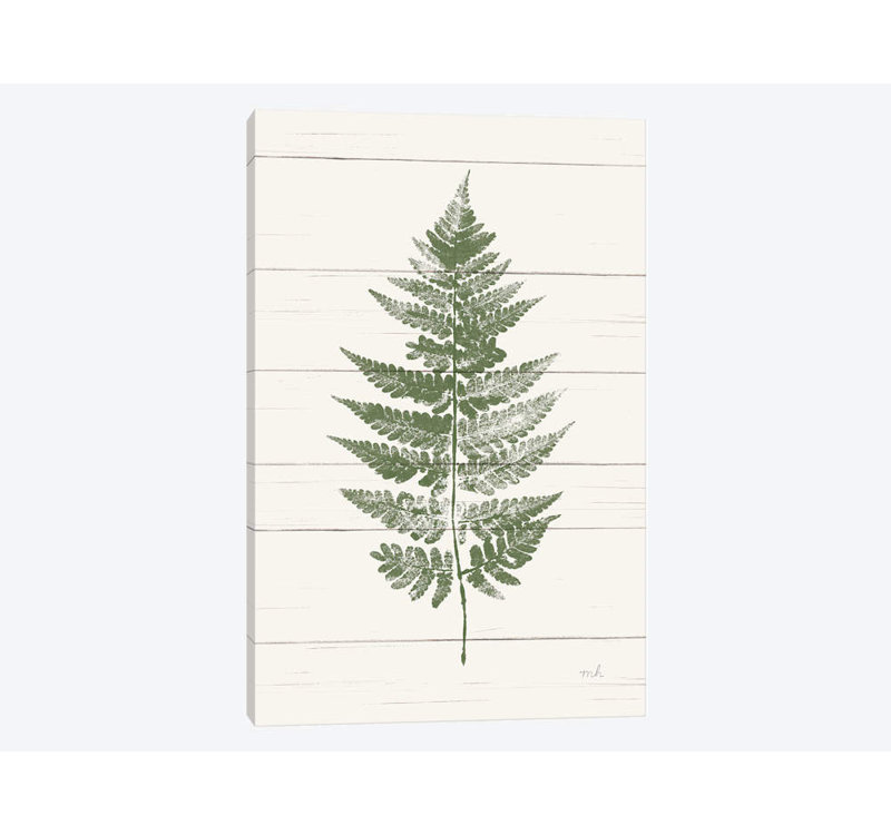«Fern Print I», impression sur toile, H 18 po x l 12 po x P 1,5 po, Toile tendue, Pas de tapis
