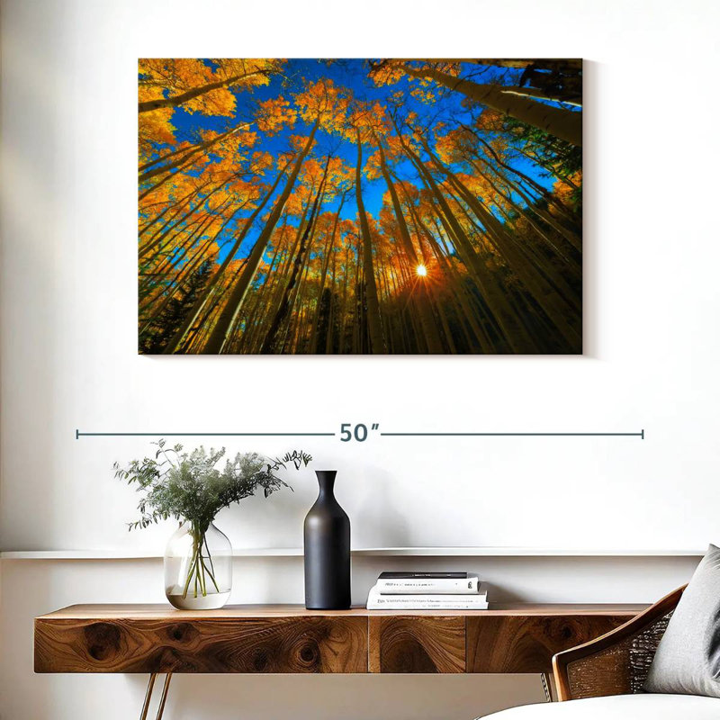 Alvord Birch Forest Sunburst