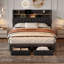 Darlita Upholstered Storage Bed-1546695123