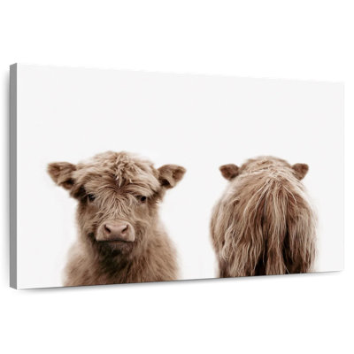 Portrait de vache Brampt Highland