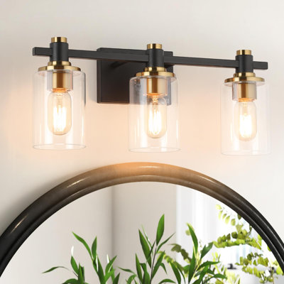 Vanity Light with Clear Glass shade