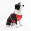 Harnais pour animal de compagnie Arlo-128618013-112400938