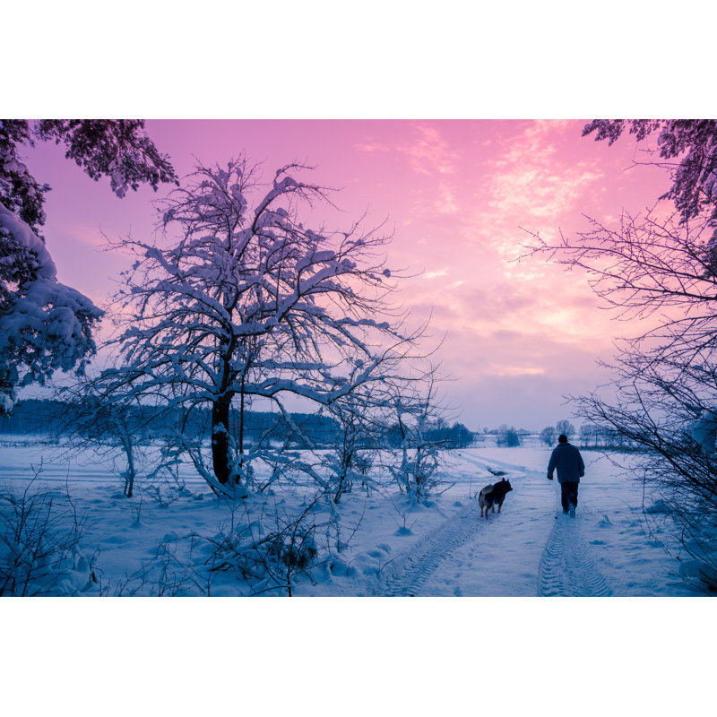 Man Walking With Dog by Vvvita - Wrapped Canvas Print, 30cm H x 46cm W