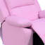 Debbra 64cm Wide Standard Recliner-15973112
