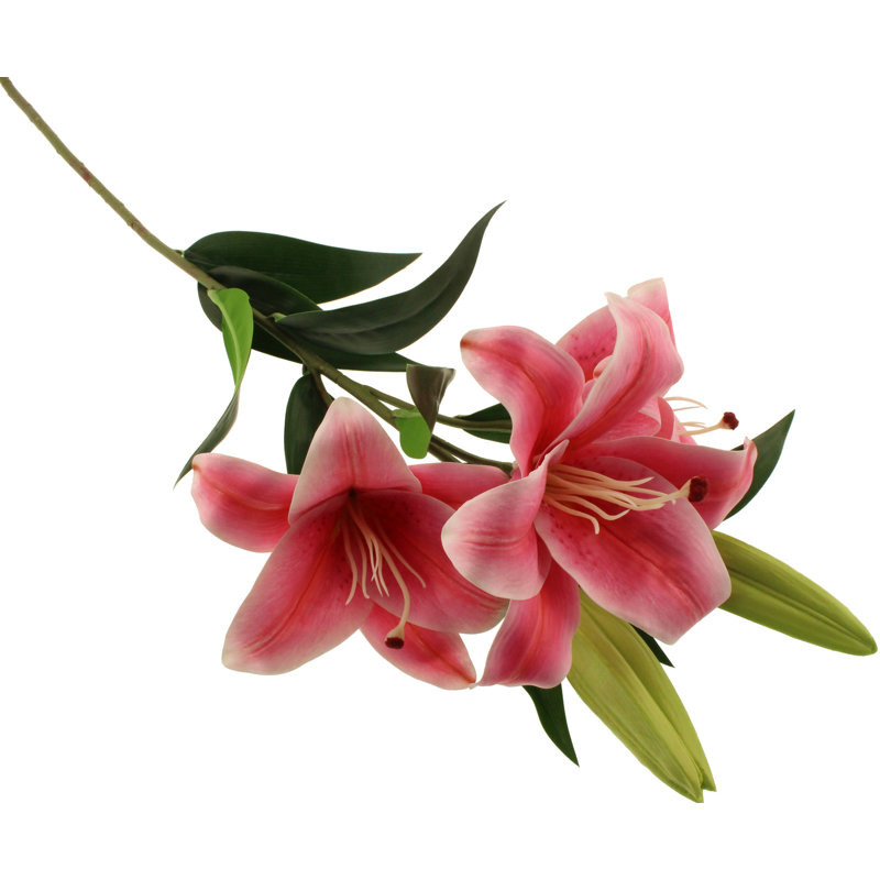 Lillies Arrangement, Dark Pink