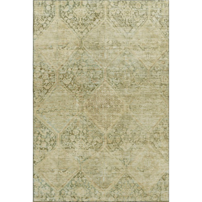 Premium Machine Washable Bucz AMF1745 Geometric Rug