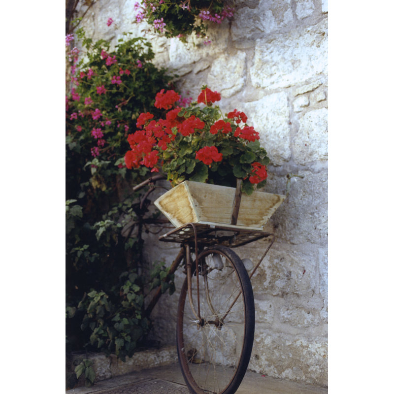 Flower Box Bike by Meg McComb - Wrapped Canvas Print, 46cm H x 30cm W
