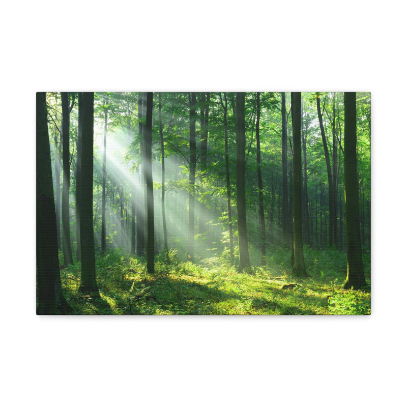 No Frame Print on Canvas