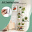 Plant Stand