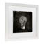 « the tree », reproduction d’impression sur toile-25774223-25773805-25774222