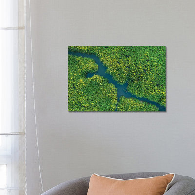 In The Nipa Forest by Trung Pham - Gallery-Wrapped Canvas Giclée on Canvas