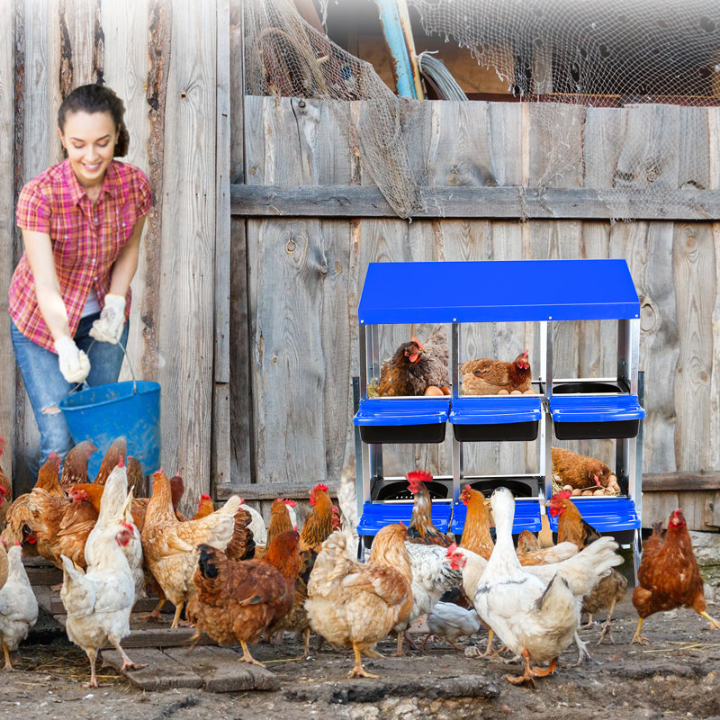 Chicken Egg Incubator For Up To, 95cm H x 81cm W x 52cm D, Blue