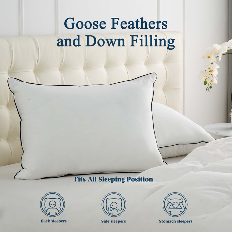 Coussin Goose Feather, Oreiller standard: 20 po x 26 po