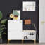 Baneen 8 Pair Shoe Storage Cabinet