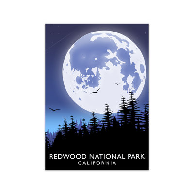 Redwood National Park California by Richard O'Neill - Print