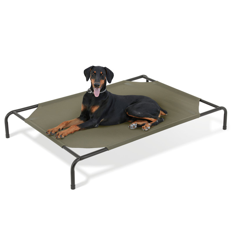 Small Navy Blue Elevated Outdoor Dog Bed with Steel Frame