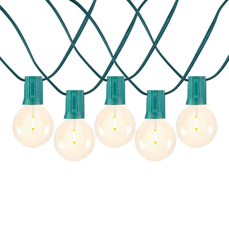 Doyne Outdoor 25 - Bulb 25'' Plug-in LED Globe String Light, Green
