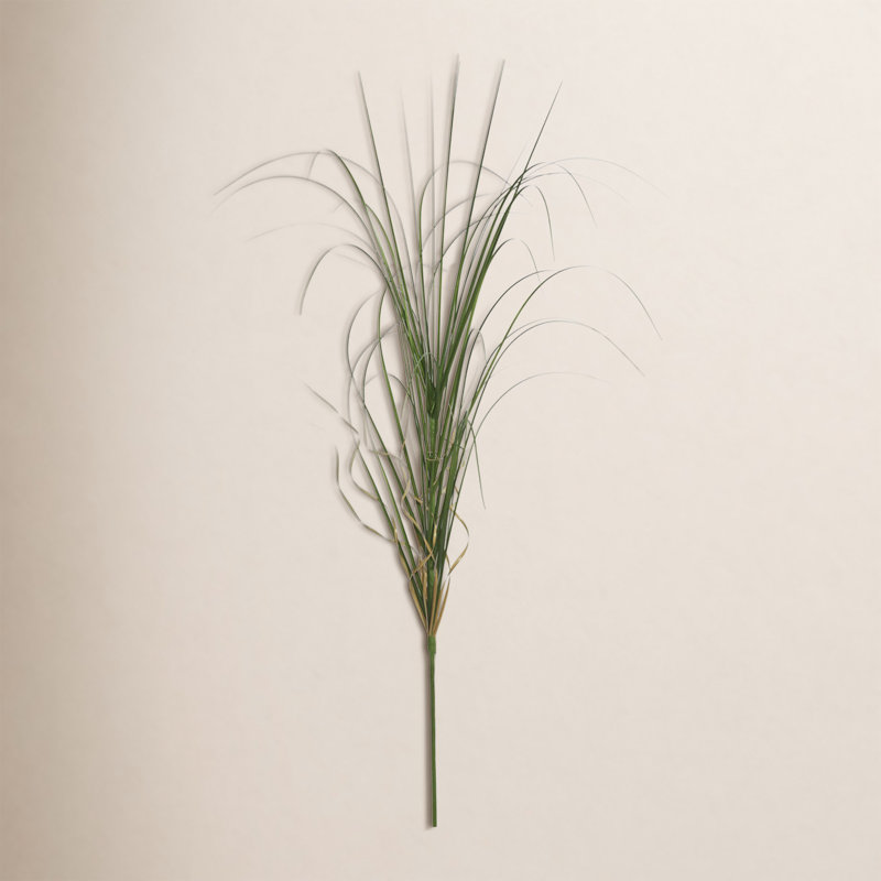 Herbe agave enroulée 6 pièces Wegman
