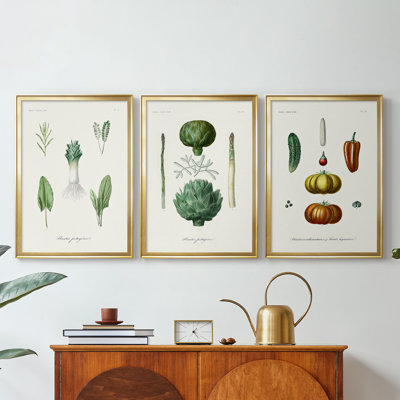 Fruit & Vegetable Varieties I  -Custom Framed  Wrapped Gallery Canvas - 3 Pieces
