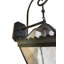 Encanto Empire Lantern