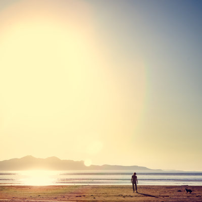 Beach Scene With Woman And Dog by Ryanjlane - Wrapped Canvas Print