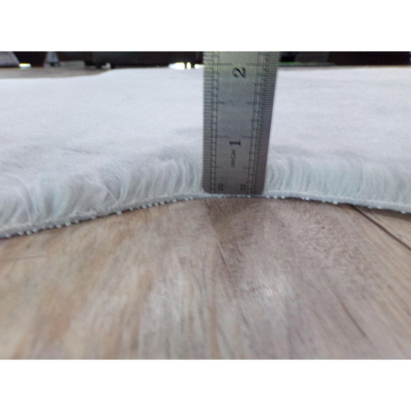 Tapis gris clair 2,6 x 4,0 pi | 100% polyester, hauteur de velours de 0,8 po | Revêtement pelucheux antidérapant, antibactérien et antiallergénique | Lavable à la machine à 30 ° C | Parfait pour le salon, la chambre à coucher et le bureau