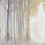 3 Forest Wall Art - Serene And Pond With Hangers Decor Canvas Calm Mounting