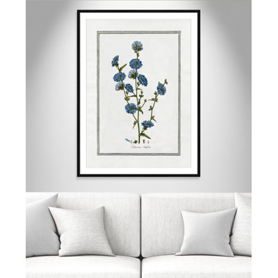 Colombe Soft Botanical I - Art encadré avec fond perdu