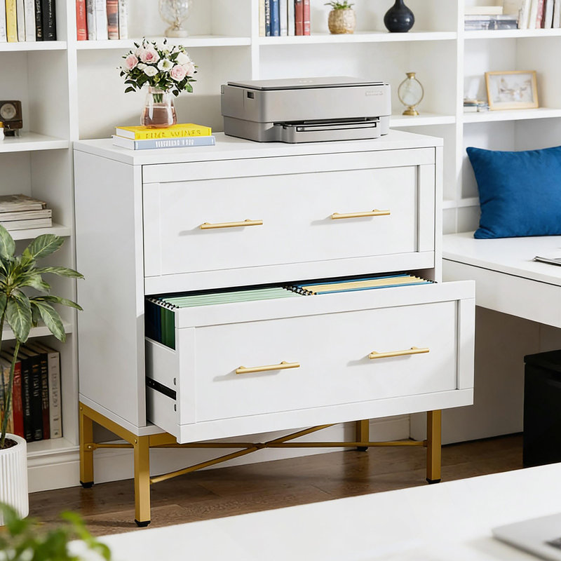 Classeur de bureau, classeur à 2 tiroirs, armoire de rangement au design épuré