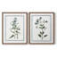 Impression encadrée Shabby Elegance Botanical I-Premium - prête à être accrochée - aucun clou requis - aucun clou requis-1992462123-1992462132