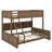 Twin XL Over Queen Bunk Bed With Cabinets And USB-294972378