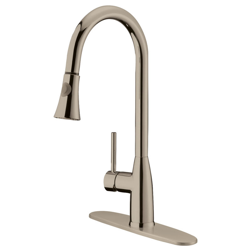 LessCare Pull Out Kitchen Faucet