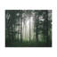 No Frame Print on Canvas-1918966461