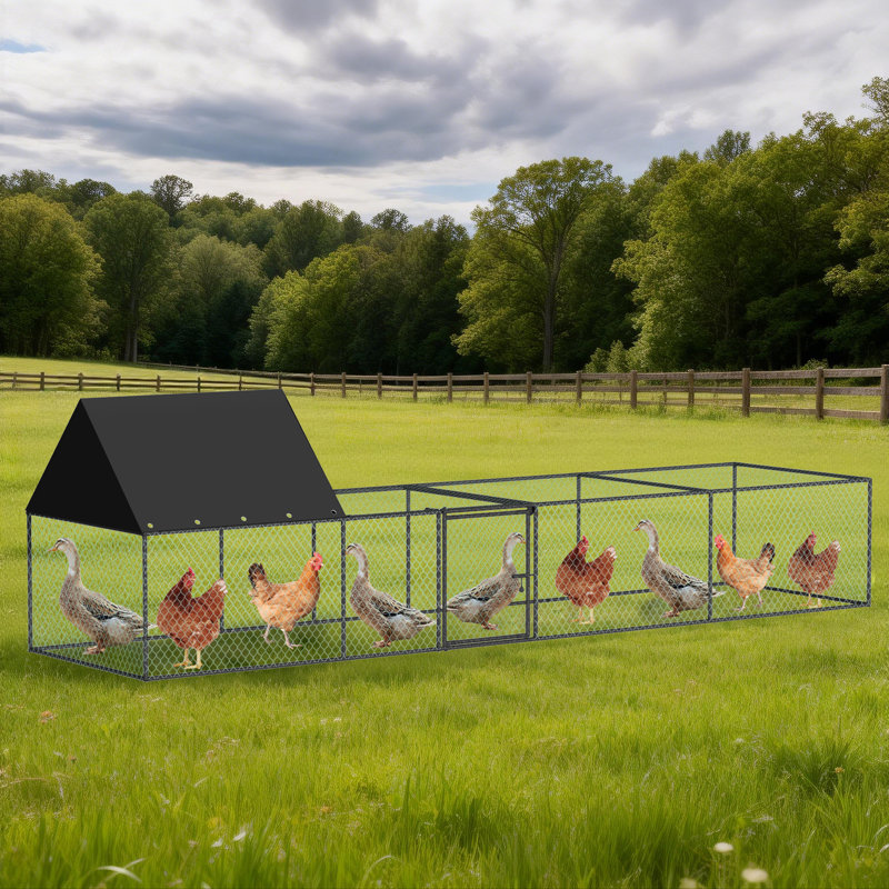 Chicken Run