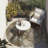 Wellsboro Area Rug-1653174725