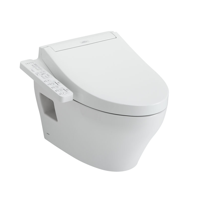 Dual-Flush Elongated Wall Mounted Toilet (Seat Included)