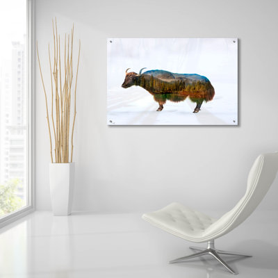 " Yak " by Mark Ashkenazi